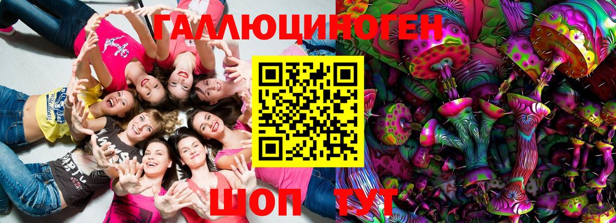 Лесной  Галлюциногенные грибы Psilocybine cubensis  Вход с VPN 
