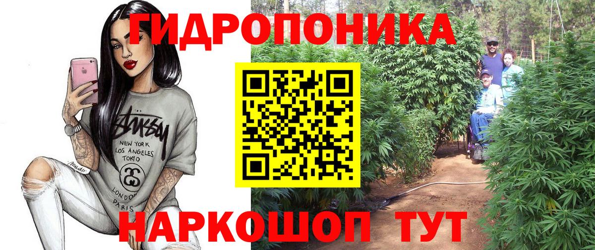 Бошки Шишки конопля Лесной